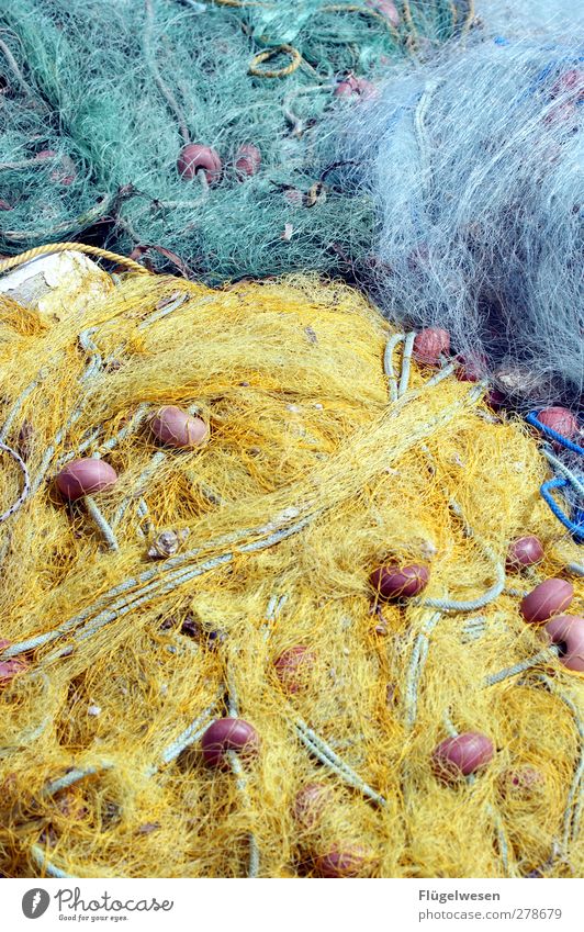 Netzbetreiber Lebensmittel Fisch Meeresfrüchte Sushi Nordsee Ostsee Teich See Bach Fischerdorf fangen nachhaltig Tatkraft Fischereiwirtschaft Fischerboot