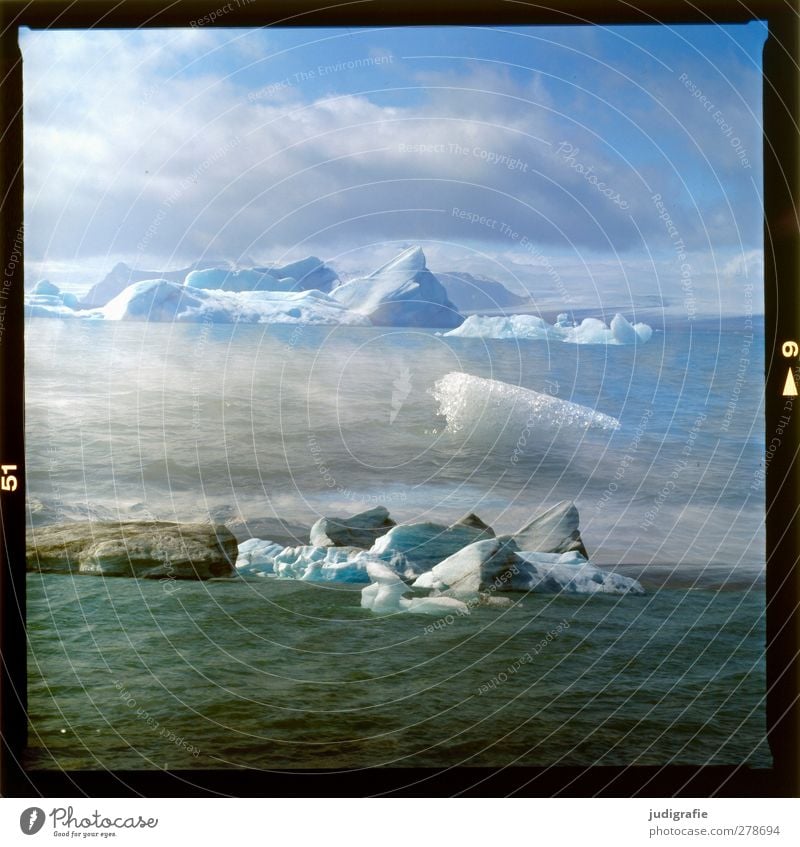 Island Umwelt Natur Landschaft Wasser Klima Eis Frost Gletscher See Jökulsárlón Schwimmen & Baden außergewöhnlich kalt wild Stimmung Vergänglichkeit