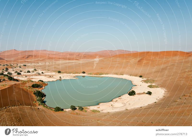 Badewanne für alle! Umwelt Natur Landschaft Urelemente Wolkenloser Himmel Wüste trocken rot Sand Düne Stranddüne Ferne Ödland Einsamkeit Wasser Meerwasser