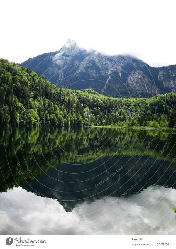 Allgäu Schwimmen & Baden Angeln Ferien & Urlaub & Reisen Ausflug Sommer Sommerurlaub Berge u. Gebirge wandern Klettern Bergsteigen Natur Landschaft Wasser Baum