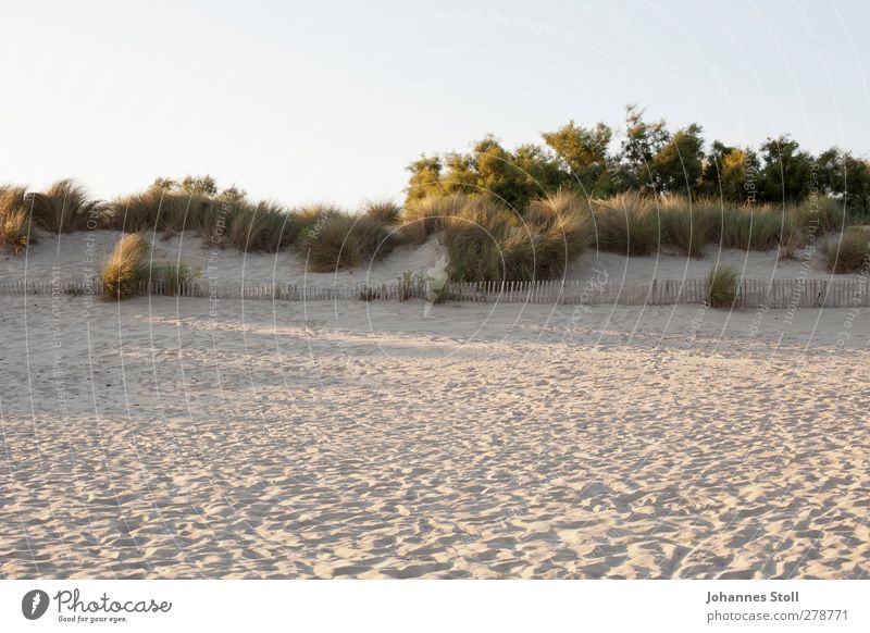 Strandsand Wohlgefühl Erholung Schwimmen & Baden Sommer Sommerurlaub Sonne Meer Umwelt Natur Landschaft Wolkenloser Himmel Sonnenaufgang Sonnenuntergang