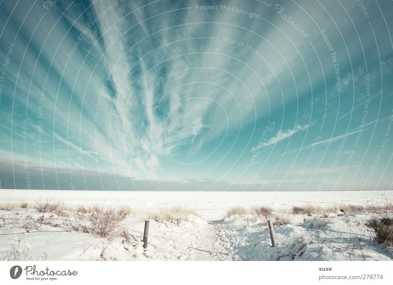 Schnee und Meer Umwelt Natur Landschaft Urelemente Luft Himmel Wolken Horizont Winter Klima Schönes Wetter Küste Strand Ostsee Wege & Pfade außergewöhnlich