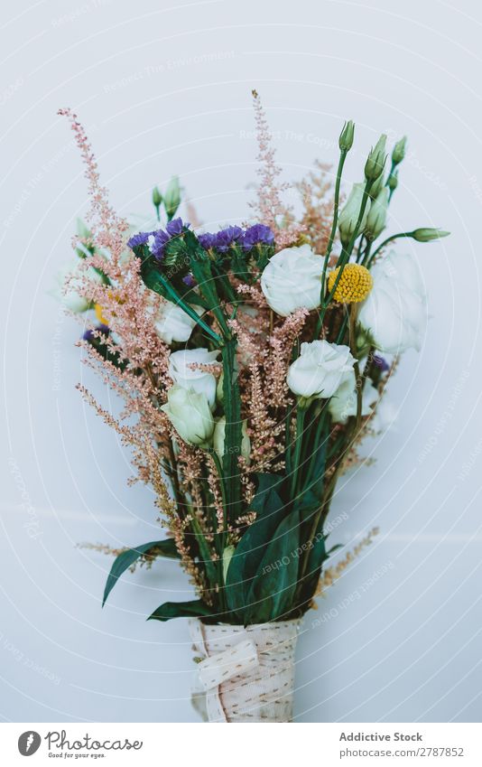 Blumenstrauß aus frischen Blumen Valentinsgruß Hochzeit hochzeitlich Haufen aromatisch schön Pflanze geblümt Dekoration & Verzierung Blüte natürlich romantisch