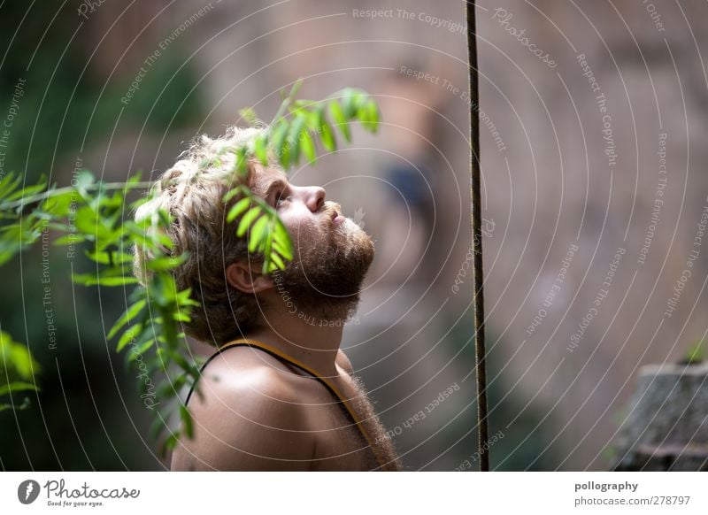 safety buddy Mensch maskulin Junger Mann Jugendliche Erwachsene Leben 2 18-30 Jahre Natur Pflanze Sommer Schönes Wetter Sträucher Grünpflanze Wald Felsen