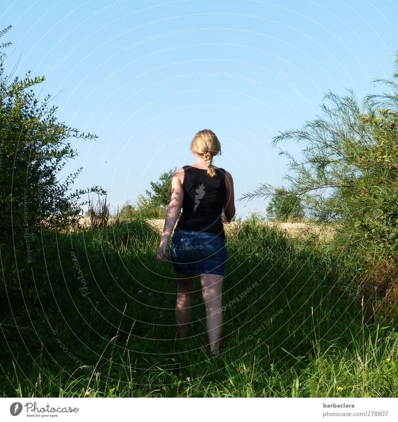 Über Stock und Stein Junge Frau Jugendliche Erwachsene 1 Mensch Landschaft Wolkenloser Himmel Sommer Schönes Wetter Sträucher Wiese Feld Rock blond Zopf gehen