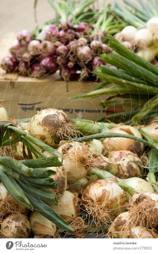 französischer Markt Zwiebel grün violett weiß Frankreich Farbfoto Außenaufnahme Tag Zentralperspektive