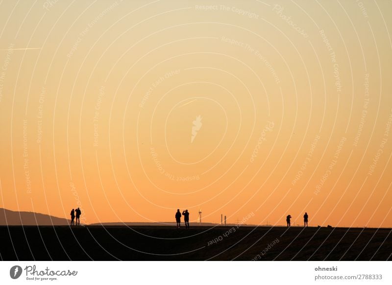 Menschen am Horizont Ausflug Abenteuer Ferne Freiheit maskulin feminin Erwachsene Leben 6 Landschaft Urelemente Luft Sonnenaufgang Sonnenuntergang Sonnenlicht