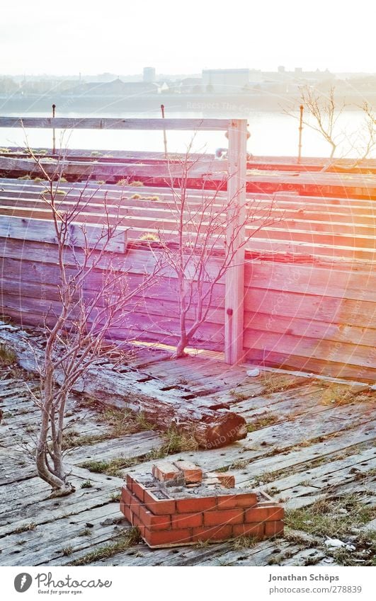 Lichtblick Hafen ästhetisch Zufriedenheit Backstein Holz Dock Liverpool Horizont Sträucher kahl Holzbrett rosa Lichterscheinung Färbung verfallen alt