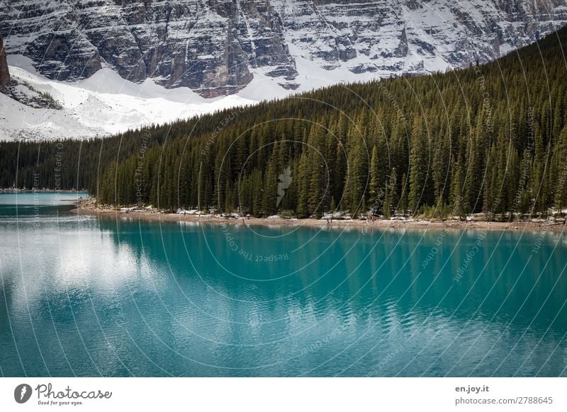 Anderes Ufer Ferien & Urlaub & Reisen Tourismus Ausflug Natur Landschaft Schönes Wetter Wald Hügel Berge u. Gebirge Rocky Mountains Seeufer Moraine Lake türkis