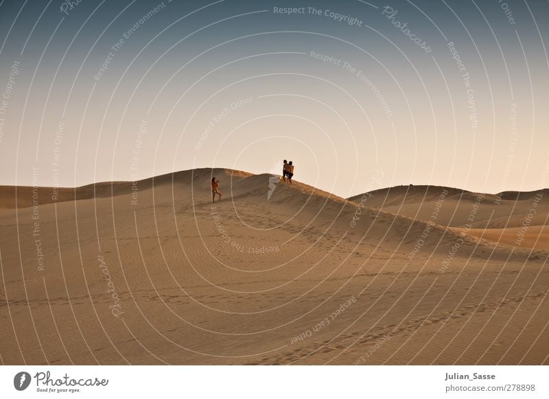 Dünenlandschaft Natur Landschaft Sand Himmel Wolkenloser Himmel Sonnenaufgang Sonnenuntergang Sonnenlicht Sommer Schönes Wetter Wärme Dürre exotisch Maspalomas