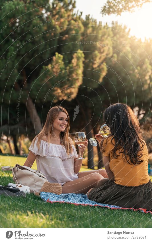 Schöne Frauen, die im Park Wein trinken. Picknick Freundschaft Jugendliche Glück Glas Zuprosten klirrend Gitarre Sommer Mensch Freude Mädchen hübsch Liebe schön