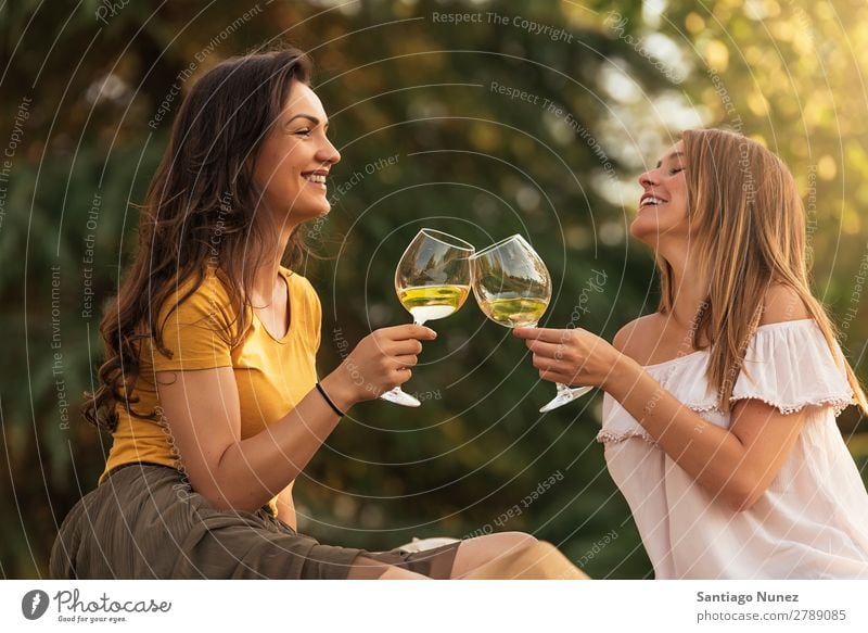 Schöne Frauen, die im Park Wein trinken. Picknick Freundschaft Jugendliche Glück Glas Zuprosten klirrend Gitarre Sommer Mensch Freude Mädchen hübsch Liebe schön