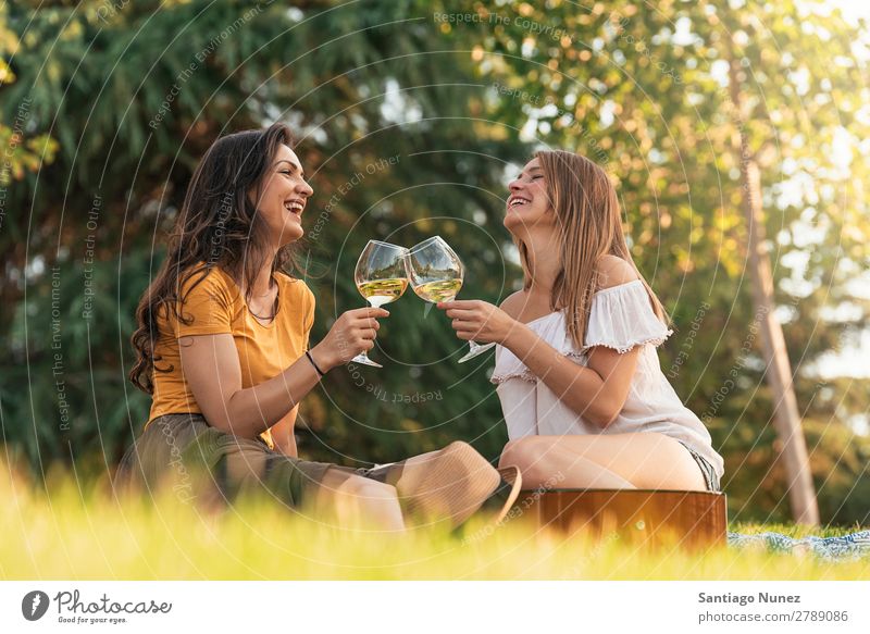 Schöne Frauen, die im Park Wein trinken. Picknick Freundschaft Jugendliche Glück Glas Zuprosten klirrend Gitarre Sommer Mensch Freude Mädchen hübsch Liebe schön