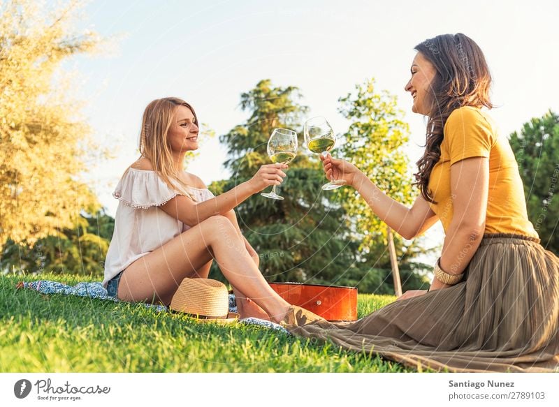 Schöne Frauen, die im Park Wein trinken. Picknick Freundschaft Jugendliche Glück Glas Zuprosten klirrend Gitarre Sommer Mensch Freude Mädchen hübsch Liebe schön