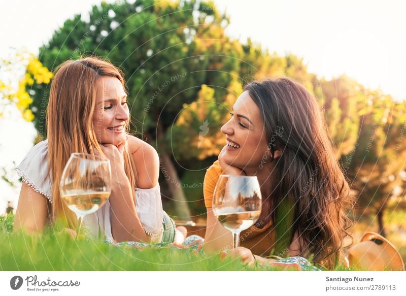 Schöne Frauen, die im Park mobil unterwegs sind. Picknick Freundschaft Jugendliche Glück Sommer Mensch Freude Mobile PDA Telefon Solarzelle Texten Halt