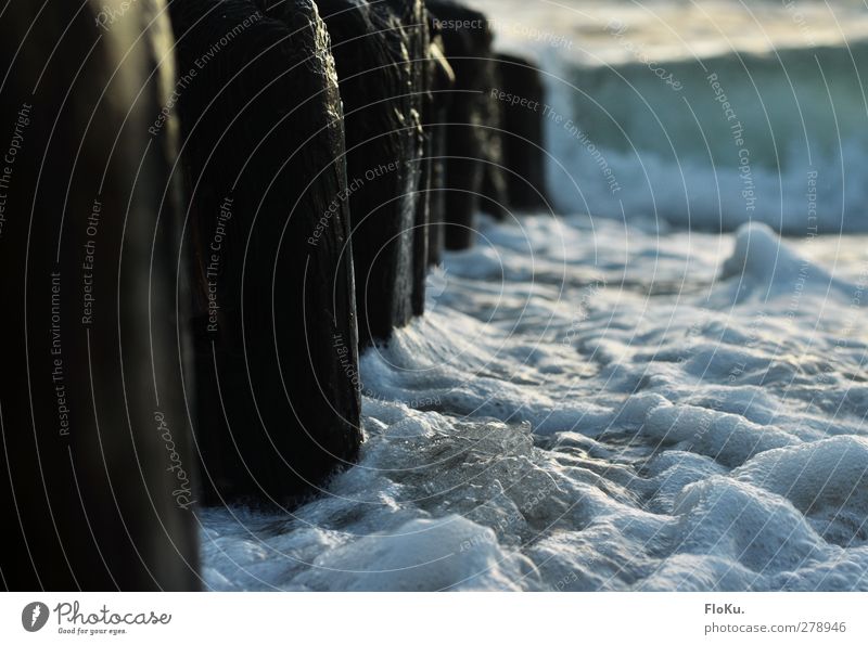 umspülte Buhnen Umwelt Natur Urelemente Wasser Wellen Küste Strand Nordsee Meer Holz glänzend nass wild blau weiß Sylt Brandung Farbfoto Außenaufnahme