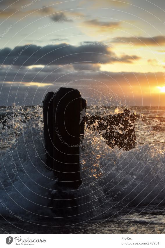 Nordsee Brandung Umwelt Natur Urelemente Wasser Wassertropfen Sonne Sonnenaufgang Sonnenuntergang Sonnenlicht Wellen Küste Strand Meer Holz Aggression