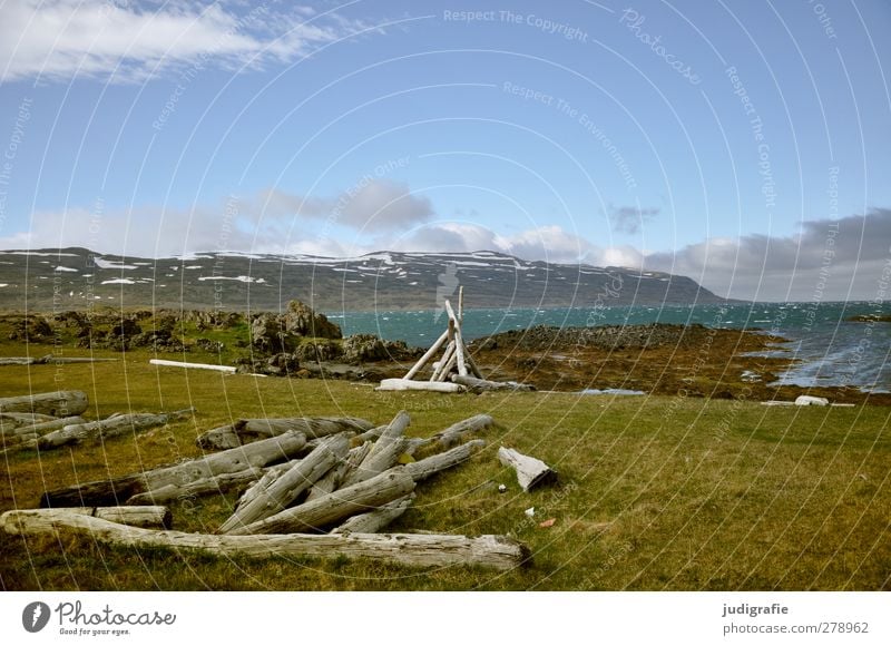 Island Umwelt Natur Landschaft Himmel Klima Schönes Wetter Berge u. Gebirge Küste Bucht Fjord kalt natürlich wild Stimmung Einsamkeit Idylle Treibholz Holz