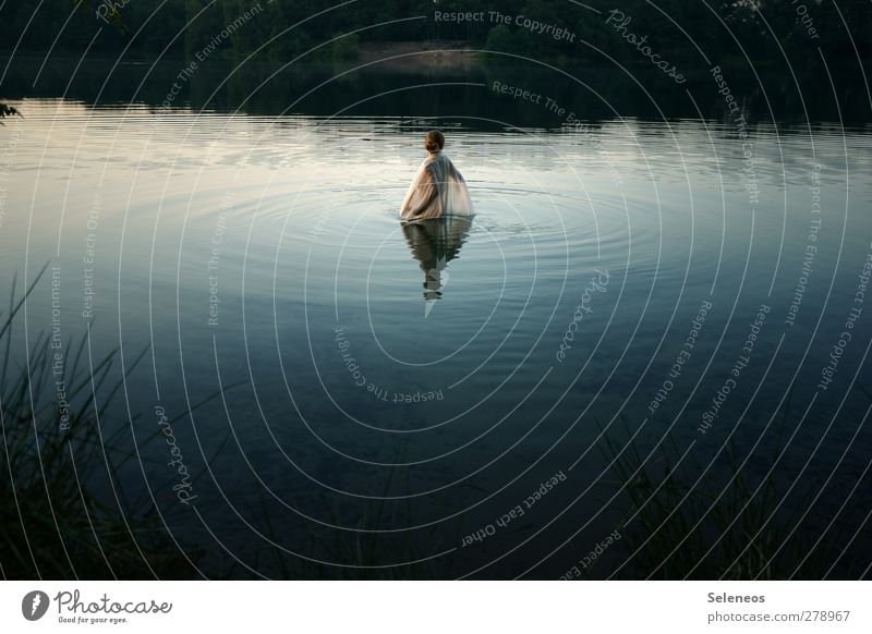 ins Wasser gehen Sommer Wellen Mensch feminin Frau Erwachsene 1 Umwelt Natur Landschaft Pflanze Schönes Wetter Gras Seeufer Flussufer Schwimmen & Baden träumen