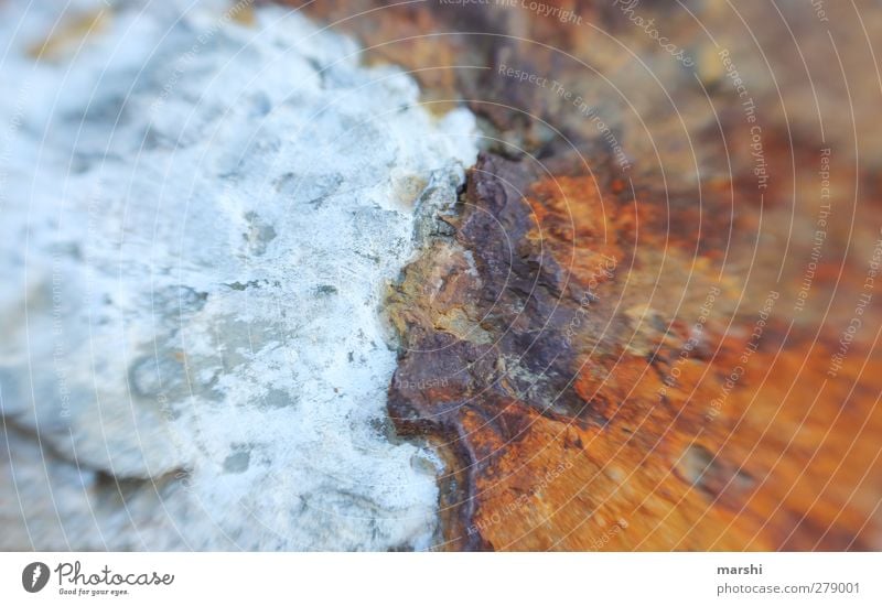 Küstenlandschaft Natur Landschaft Urelemente Erde Wasser blau braun Stein Färbung lensbaby Unschärfe Gegenteil Farbfoto Außenaufnahme Detailaufnahme