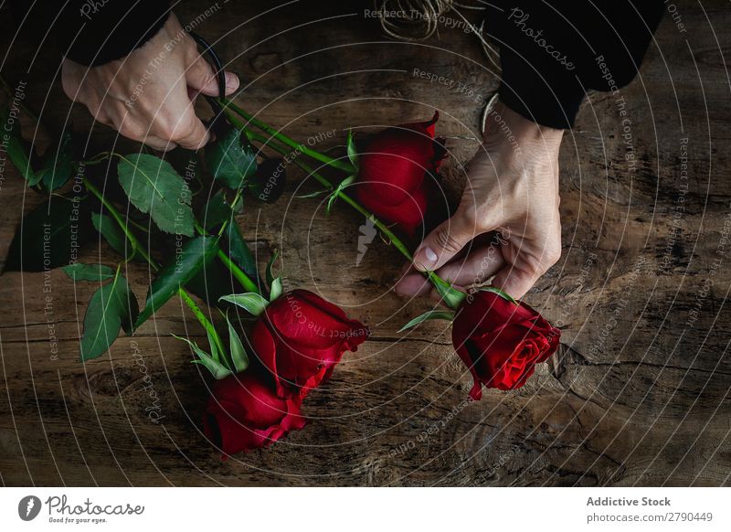 Nicht erkennbare Frau, die einen Blumenstrauß aus roten Rosen macht. Hand unkenntlich Hintergrundbild dunkel Postkarte Blütenblatt Valentinsgruß Jahrestag