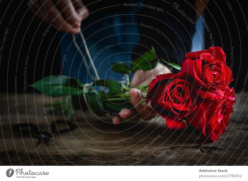 Nicht erkennbare Frau, die einen Blumenstrauß aus roten Rosen macht. Hand unkenntlich Hintergrundbild dunkel Postkarte Blütenblatt Valentinsgruß Jahrestag