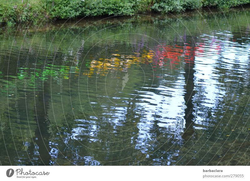 Wasserfest Veranstaltung Himmel Sommer Baum Sträucher Fluss Dekoration & Verzierung Kitsch Krimskrams Scheibe Feste & Feiern leuchten Fröhlichkeit mehrfarbig