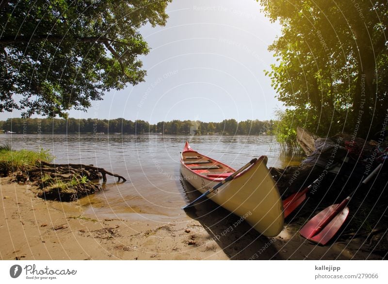 gestrandet Lifestyle Freizeit & Hobby Umwelt Natur Landschaft Wasser Wolkenloser Himmel Horizont Sommer Schönes Wetter Baum See Fluss Sauberkeit ruhig Kanu