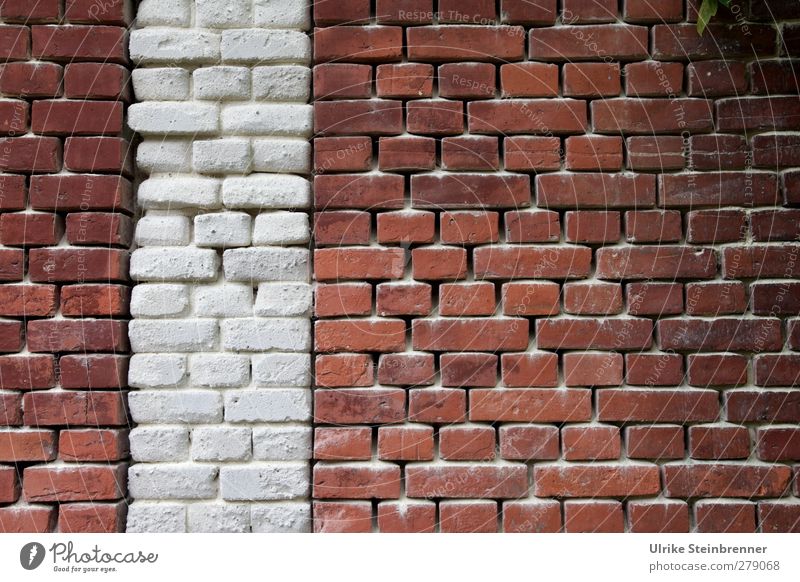 Brickwall Haus Gebäude Altbau Anstalt Industriedenkmal Mauer Wand Sand Backstein glänzend leuchten stehen eckig fest braun rot weiß Kraft Schutz Senior