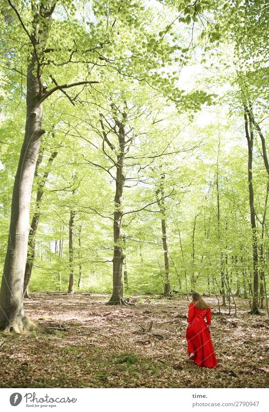 coming soon, springtime feminin Frau Erwachsene 1 Mensch Frühling Schönes Wetter Baum Wald Kleid brünett langhaarig Bewegung gehen genießen wandern schön gelb