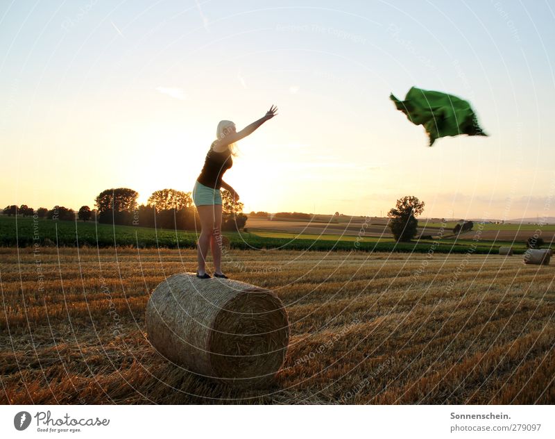 Ab(end)flug Ausflug Sommer feminin Leben 1 Mensch 18-30 Jahre Jugendliche Erwachsene Natur Landschaft Himmel Sonnenaufgang Sonnenuntergang Schönes Wetter Feld