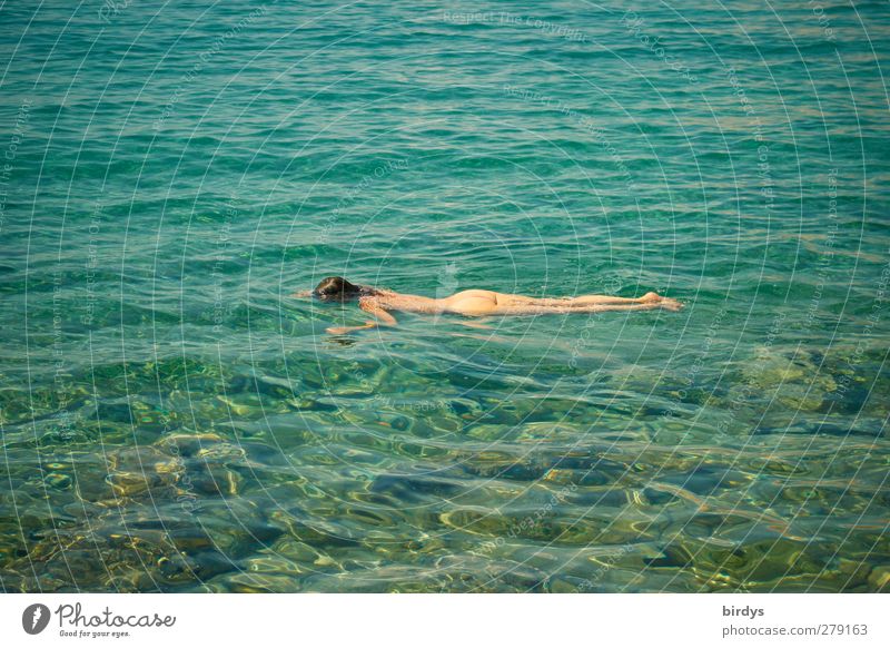 UnterwasserFernsehen Wohlgefühl Schwimmen & Baden Sommerurlaub Junge Frau Jugendliche Körper 1 Mensch Wasser Meer Adria Erotik nackt positiv feminin blau grün