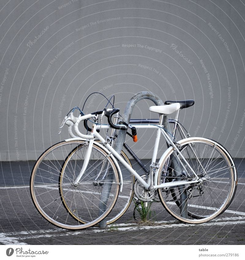 black `n white Sport Fahrradfahren Mauer Wand Fassade Parkplatz Metall Kunststoff Coolness Bewegung elegant Mobilität Team Teamwork schwarz weiß grau