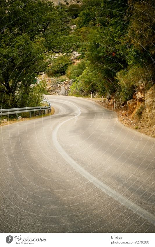 KK Kurviges Kroatien Pflanze Sommer Schönes Wetter Baum Straßenverkehr Kurve authentisch Flüssigkeit Wege & Pfade elegant Dynamik Linie Serpentinen Mittellinie