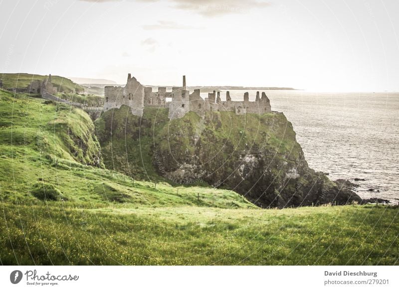 Dunluce Castle Ferien & Urlaub & Reisen Sightseeing Himmel Frühling Sommer Herbst Schönes Wetter Gras Moos Grünpflanze Küste Meer Burg oder Schloss Ruine Mauer