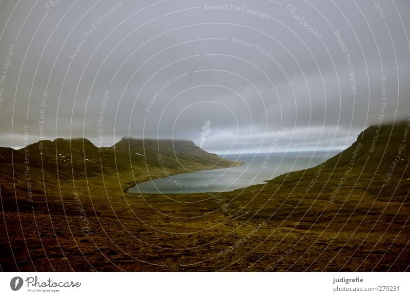 Island Umwelt Natur Landschaft Wasser Wolken Klima Felsen Küste Fjord Westfjord außergewöhnlich dunkel natürlich wild Stimmung Farbfoto Gedeckte Farben