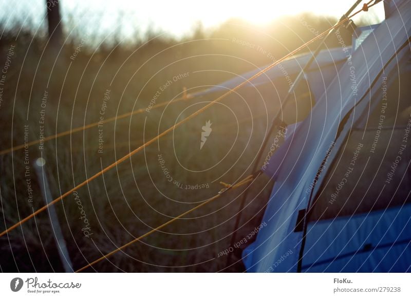 Zelt steht Ferien & Urlaub & Reisen Ausflug Abenteuer Ferne Freiheit Expedition Camping Umwelt Natur Sonne Sonnenlicht Kunststoff Schnur Knoten hell blau gelb