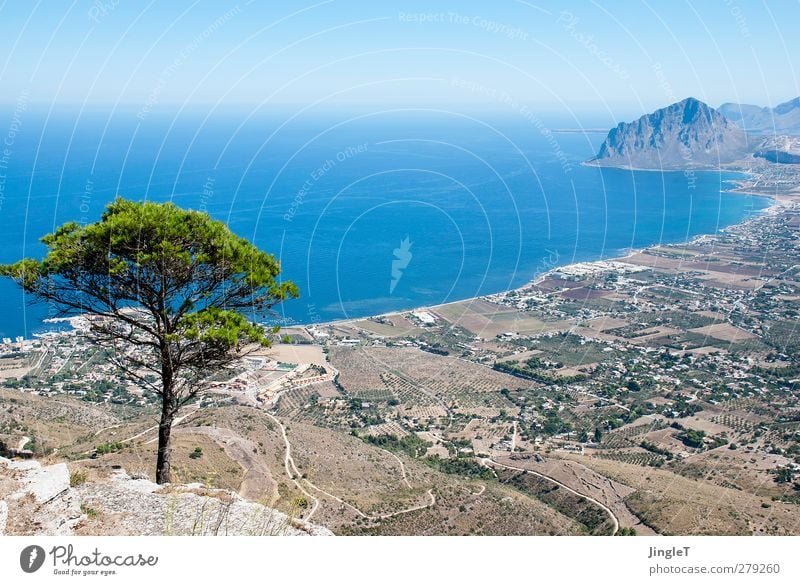 Baumgrenze Umwelt Natur Landschaft Pflanze Tier Erde Wasser Grünpflanze Hügel Felsen Berge u. Gebirge Meer Mittelmeer Erholung Blick hoch blau braun grün