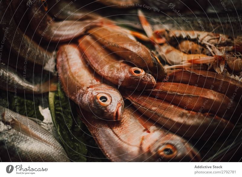 Verschiedene frische Fische am Marktstand Kulisse Verkaufswagen Chechaouen Marokko Sammlung Fenster Lebensmittel Mahlzeit Meeresfrüchte Feinschmecker Gesundheit