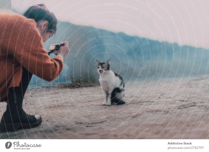 Frau beim Fotografieren einer obdachlosen Katze Straße Schießen Fotokamera professionell Tier Irrläufer Haustier Pelzmantel Katzenbaby Jugendliche niedlich