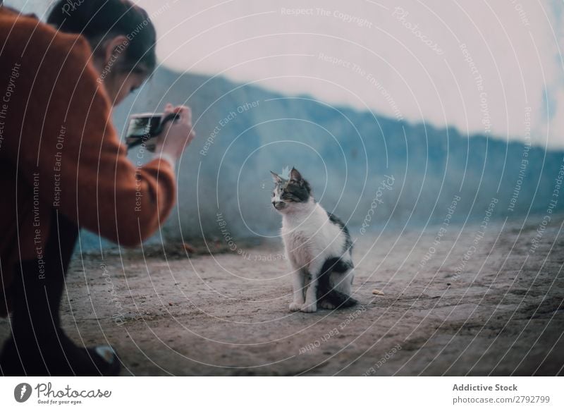 Frau beim Fotografieren einer obdachlosen Katze Straße Schießen Fotokamera professionell Tier Irrläufer Haustier Pelzmantel Katzenbaby Jugendliche niedlich