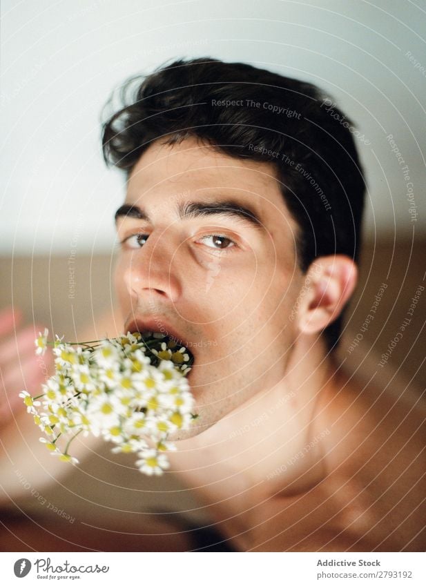 Junger Mann mit Blumenstrauß im Mund Haufen Typ frisch Jugendliche brünett weiß ohne Hemd Überraschung Geschenk romantisch Gänseblümchen Haare & Frisuren