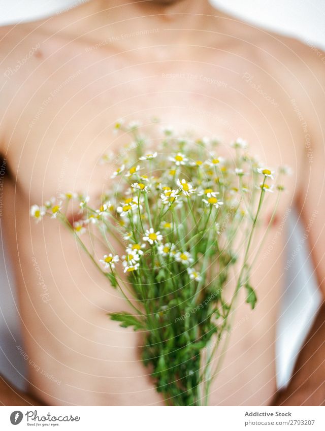 Junger Mann mit einem Blumenstrauß in den Händen. Mund Haufen Typ frisch Jugendliche brünett weiß ohne Hemd Überraschung Geschenk romantisch Gänseblümchen