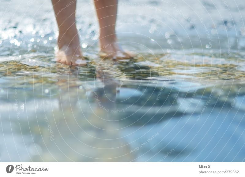 nasse Füße Ferien & Urlaub & Reisen Sommerurlaub Fuß Wasser Küste Seeufer Meer Stein Schwimmen & Baden Farbfoto Außenaufnahme Nahaufnahme Textfreiraum unten