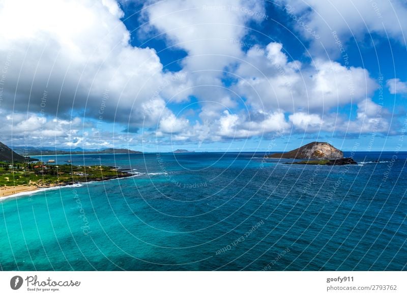 Oahu / Hawaii Ferien & Urlaub & Reisen Tourismus Ausflug Abenteuer Ferne Freiheit Sommer Strand Meer Insel Wellen Natur Landschaft Wasser Himmel Wolken