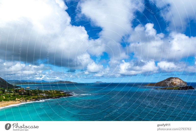 Paradies Ferien & Urlaub & Reisen Tourismus Ausflug Abenteuer Ferne Freiheit Natur Landschaft Wasser Himmel Wolken Wellen Küste Strand Bucht Meer Insel exotisch