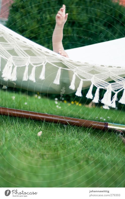 hier bin ich! Freude Sommer Sonne Garten Schwimmbad Kleinkind Wasser Wärme Wiese blau weiÃŸ Junge Hängematte Gartenmöbel jung suess anonym zeigen Zeigefinger