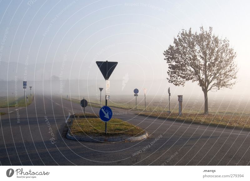 Kreuzung Umwelt Natur Landschaft Wolkenloser Himmel Herbst Klima Wetter Nebel Baum Verkehr Verkehrswege Straße Straßenkreuzung Wege & Pfade Verkehrszeichen