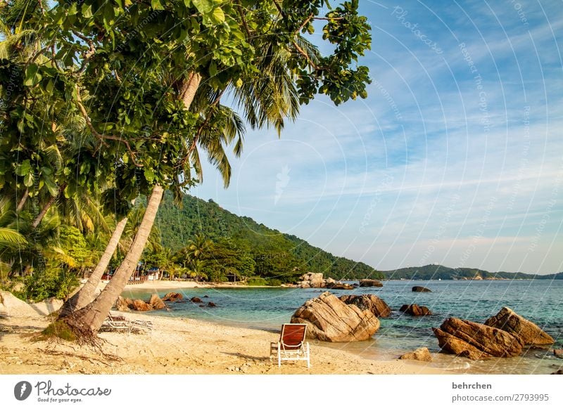 nimm platz! Ruhe genießen Sehnsucht Himmel Strand träumen Wellen Meer Licht Kontrast besonders Natur exotisch Ausflug außergewöhnlich fantastisch Sonnenlicht