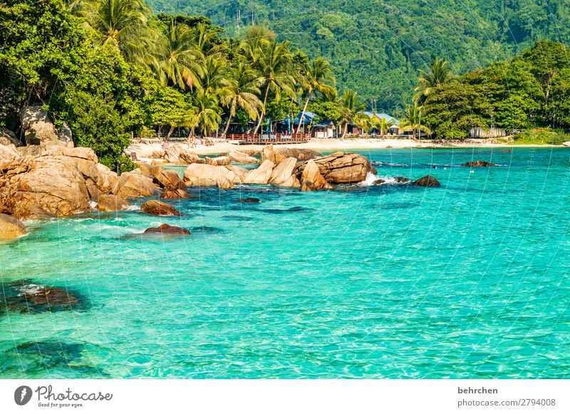 MEHR MEER für ALLE traumhaft Sehnsucht genießen Ruhe exotisch träumen Strand Natur Menschenleer Küste Ausflug Wellen Meer außergewöhnlich Licht fantastisch